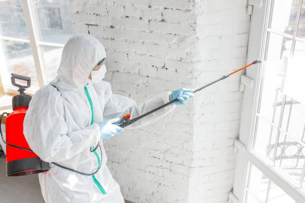 Best Mold Odor Removal Services  in Carolina Shores, NC